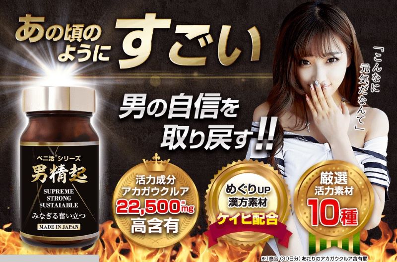 hoge1���T�C�g